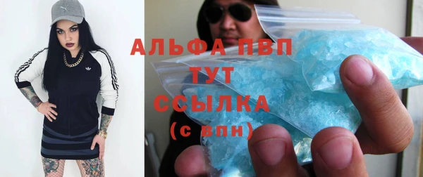 a pvp Алзамай