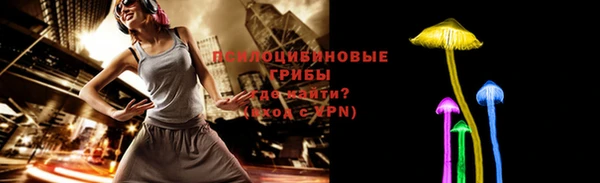 ешки Алексин