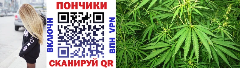 Бошки марихуана семена  ссылка на мегу ТОР  Богучар 